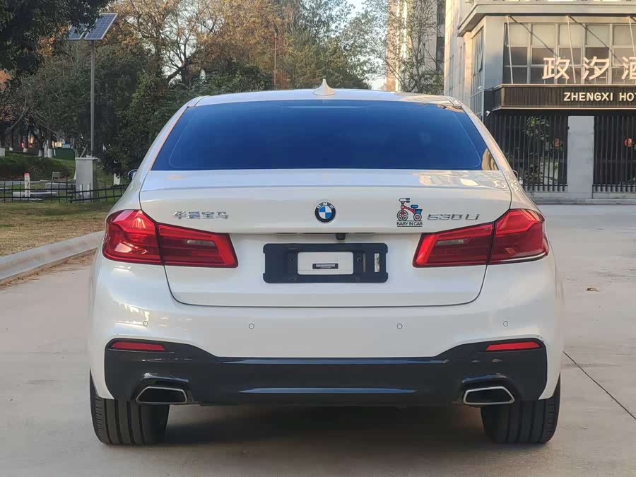 BMW 5 Series 2020 car image #5