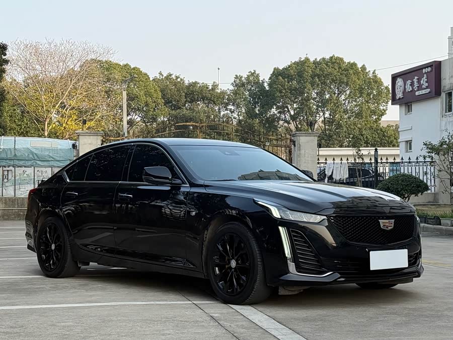 2020 #5 2020 car image #5