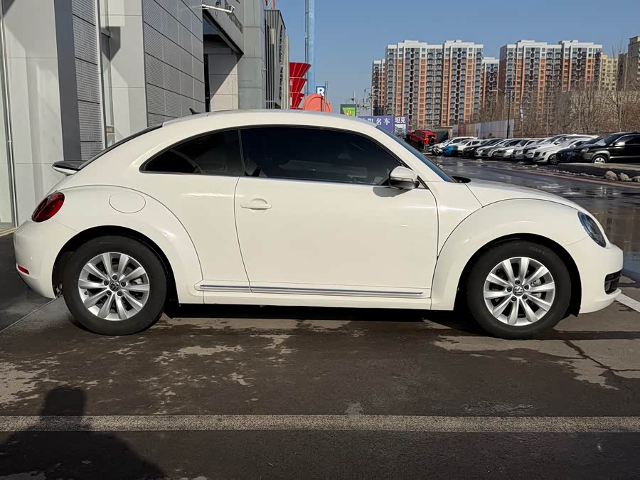 Volkswagen Beetle 2014 immagine di auto #5