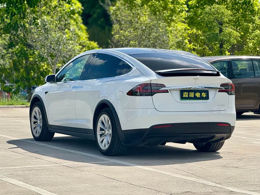 特斯拉 Model X 2020 汽车图片 #5