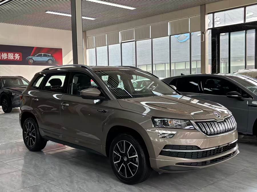 Skoda Karoq 2022 car image #5