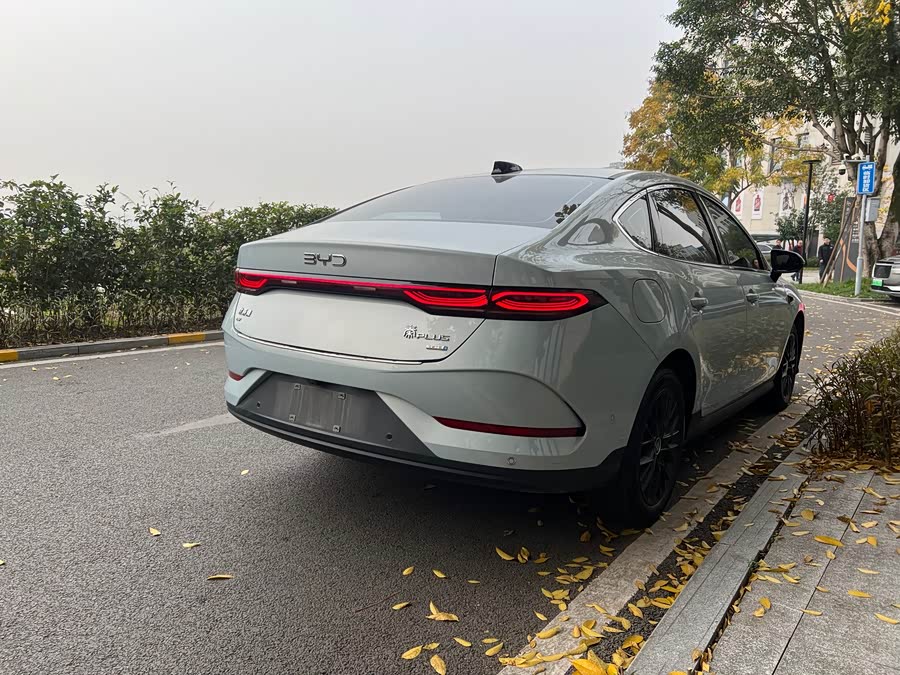 BYD Qin Plus 2025 صورة سيارة #5