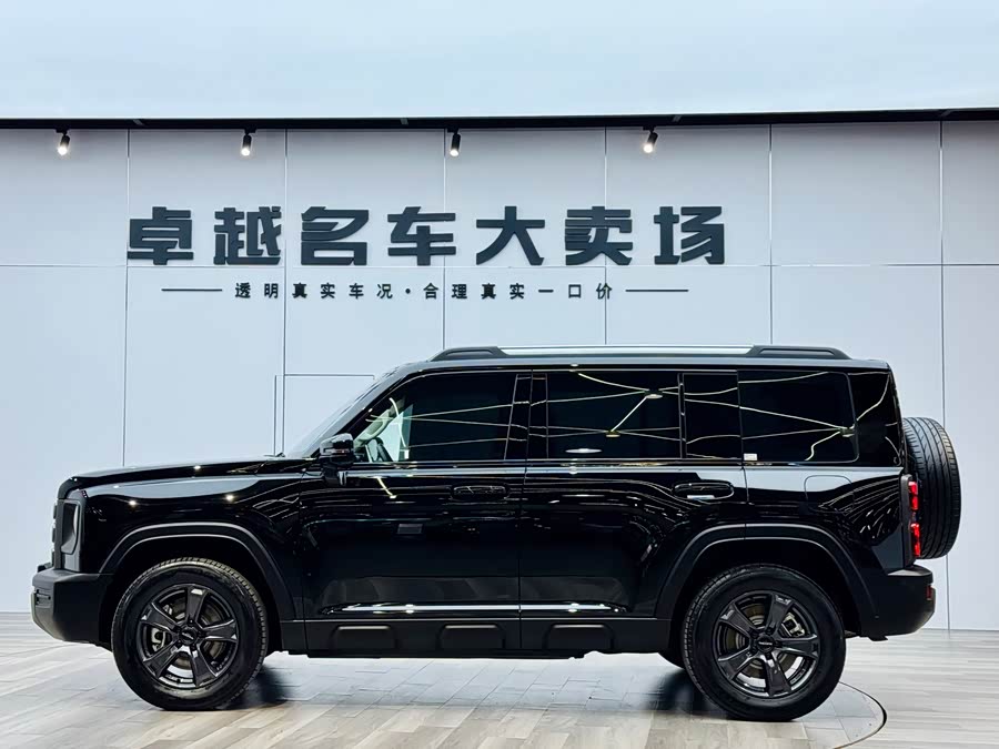 Haval Raptor New Energy 2023 car image #5