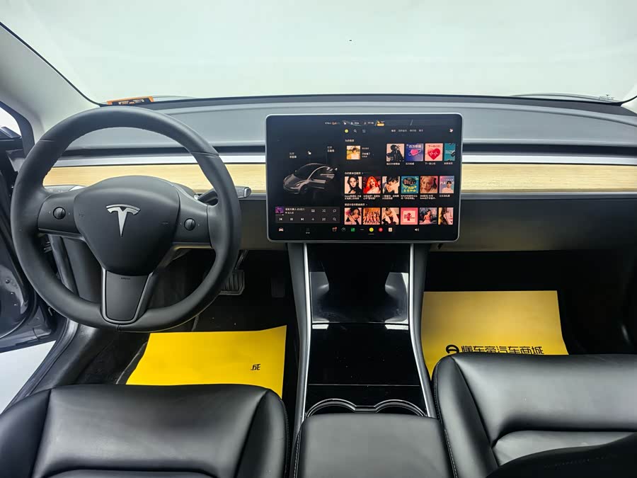 Tesla Model 3 2020 car image #5