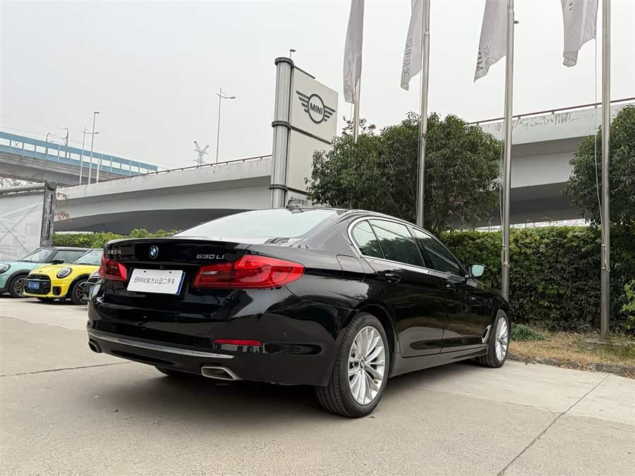 BMW 5 Series 2020 car image #5