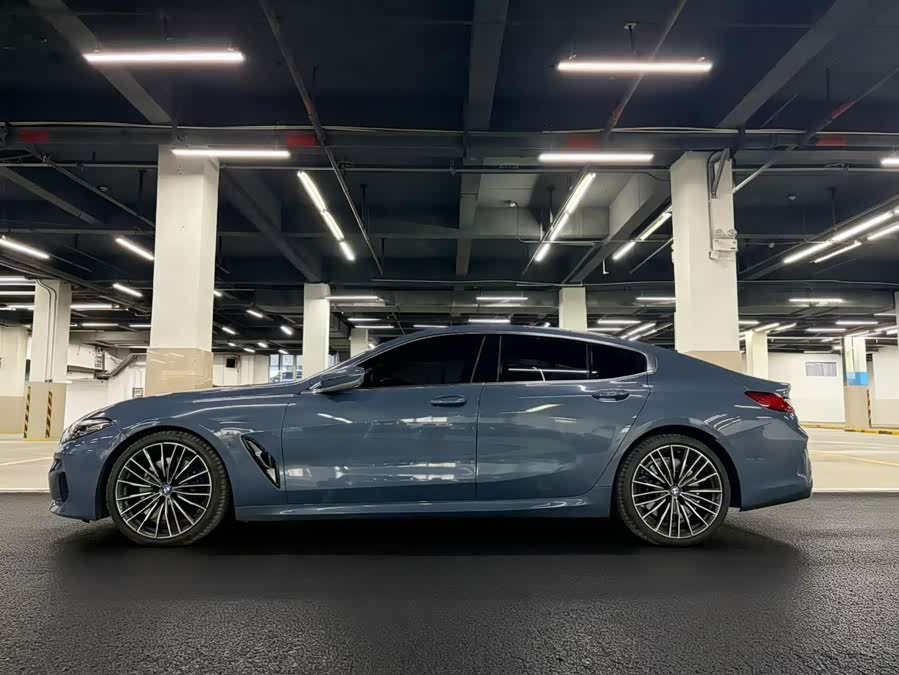 BMW 8 Series 2020 car image #5