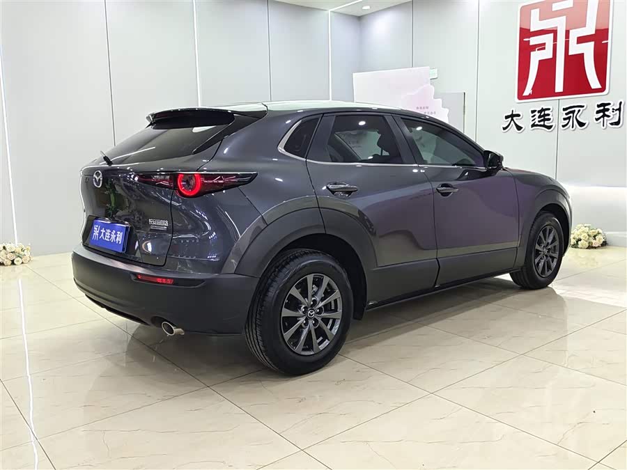 Mazda CX-30 2022 car image #5