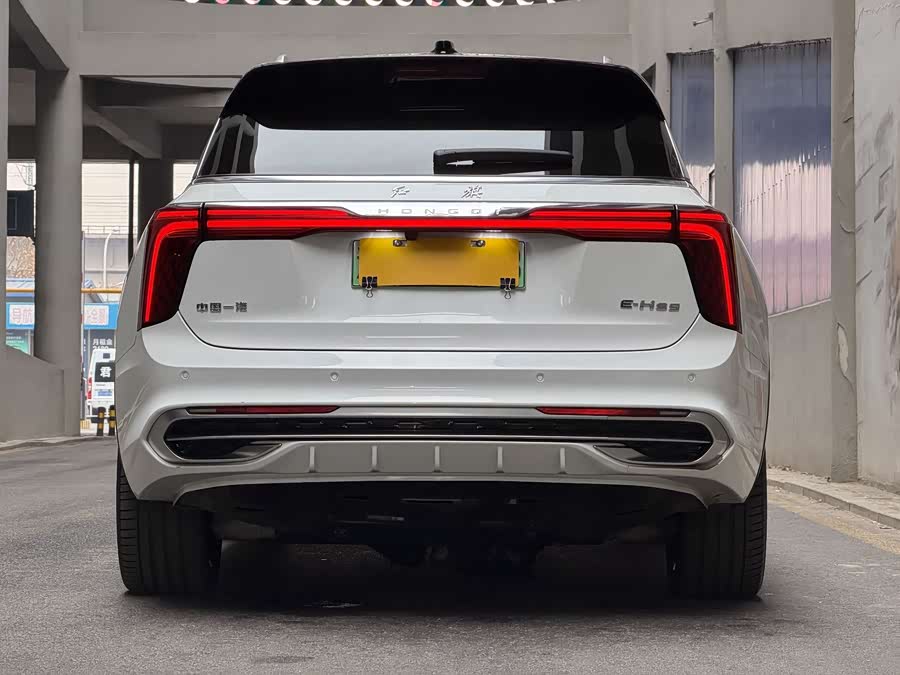 HongQi E-HS9 2023 car image #5
