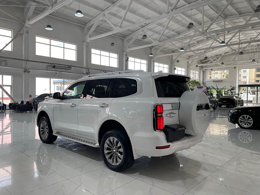 Tank 500 New Energy 2024 car image #5