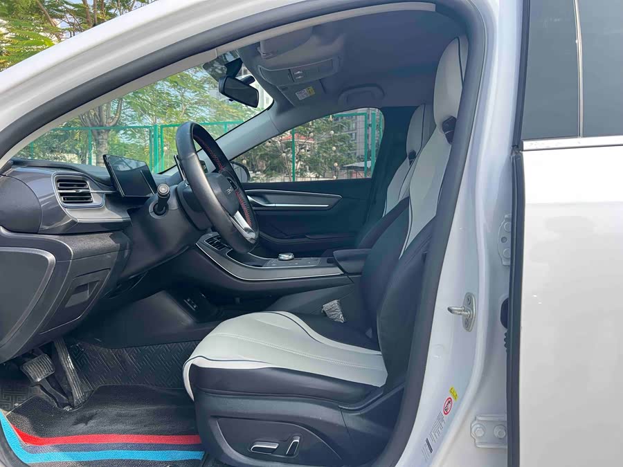 BYD Destroyer 05 2023 car image #5