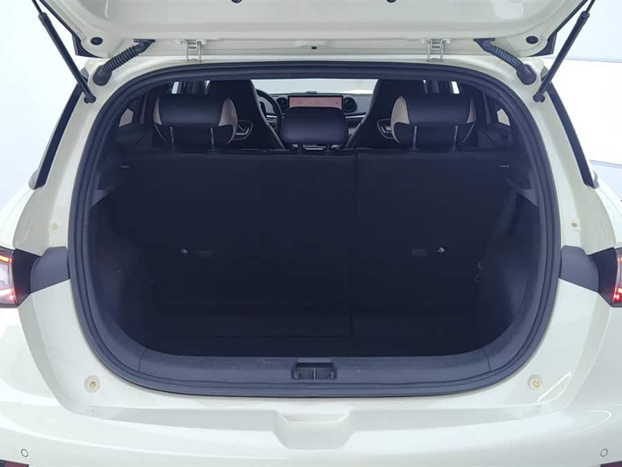 BYD Dolphin 2023 imagem de carro #5