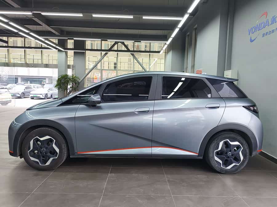 BYD Dolphin 2022 car image #5