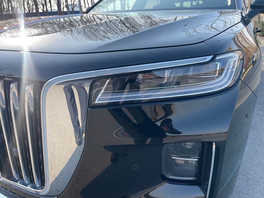 HongQi H9 2021 car image #5