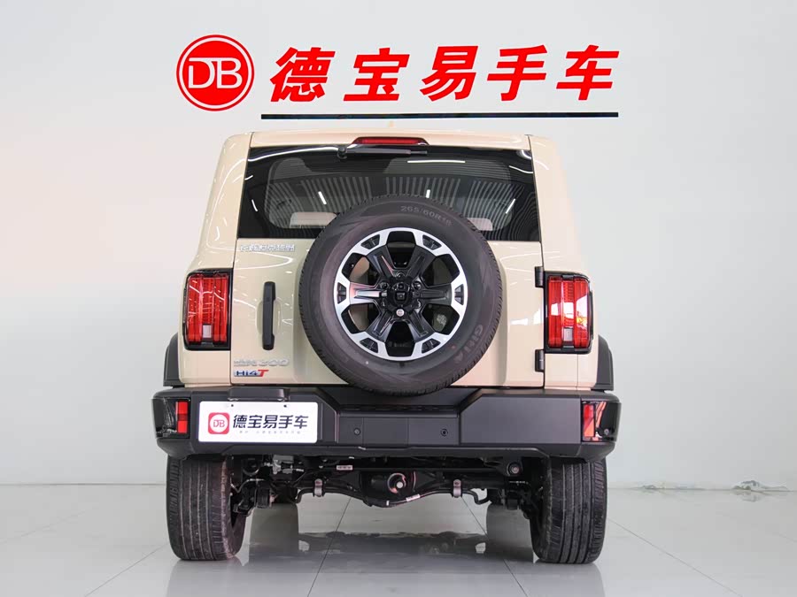 Tank 300 New Energy 2025 #5 Tank 300 New Energy 2025 car image #5