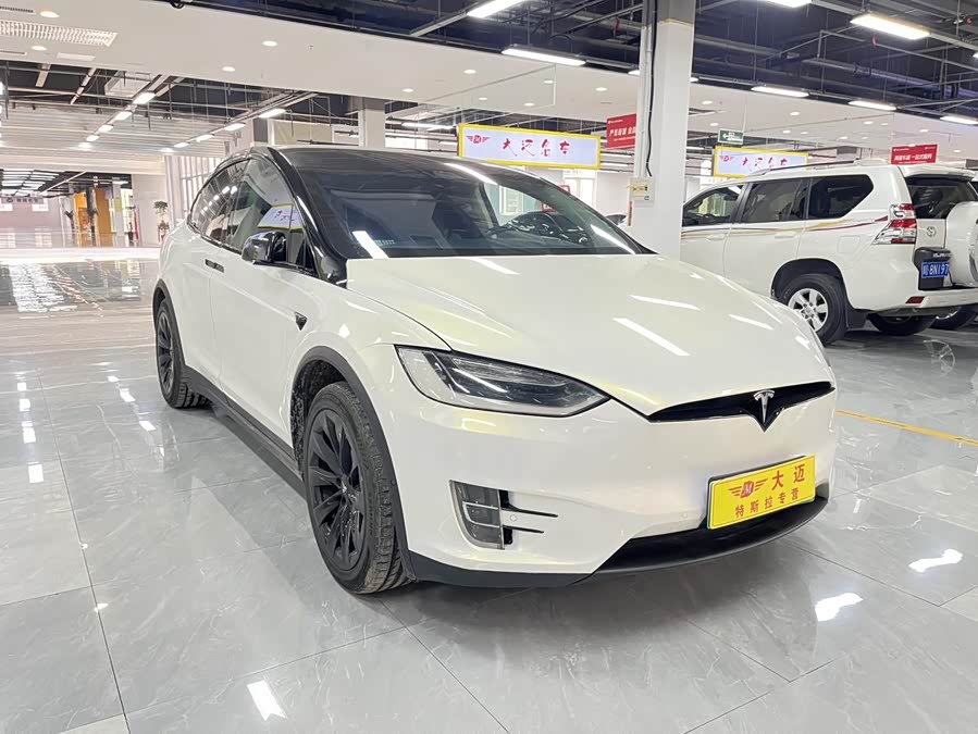 Tesla Model X 2018 car image #5