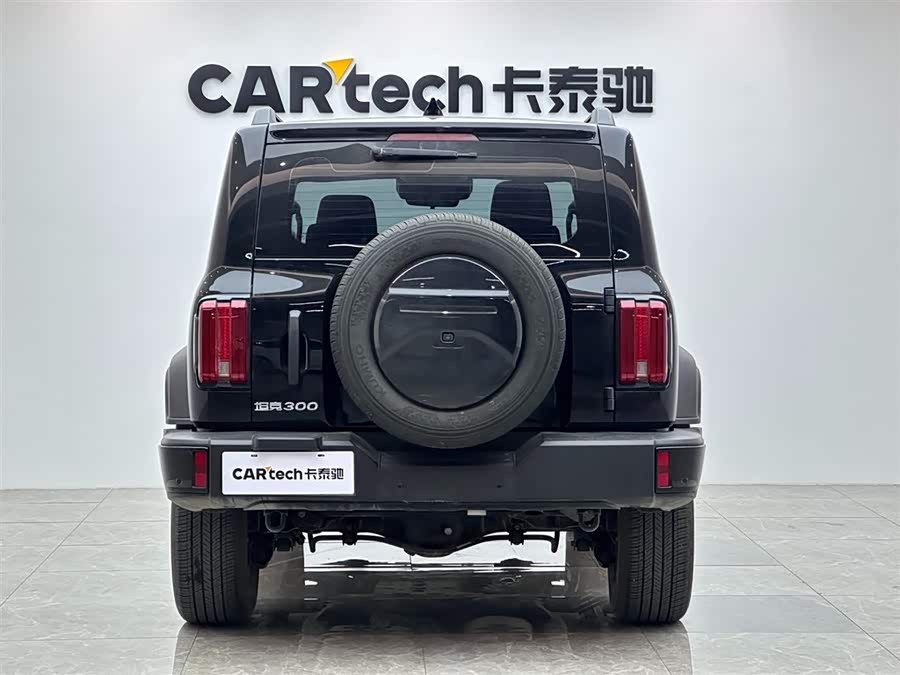 Tank 300 2023 #5 Tank 300 2023 car image #5