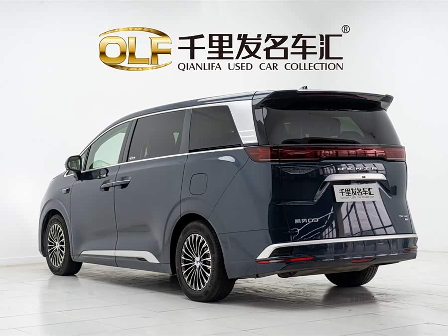 Denza D9 2025 car image #5