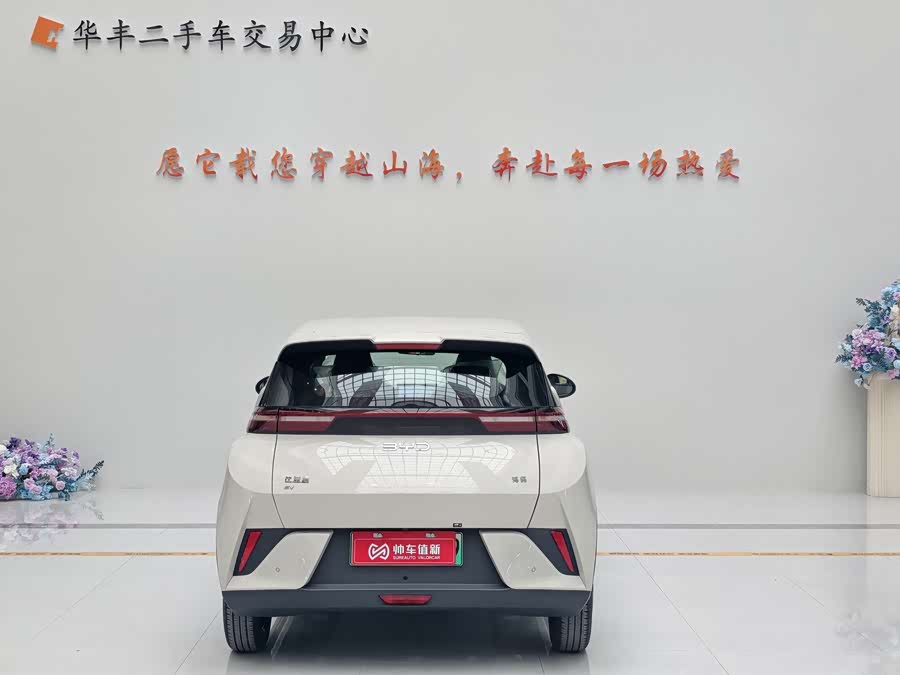 BYD Seagull 2025 #5 BYD Seagull 2025 immagine di auto #5