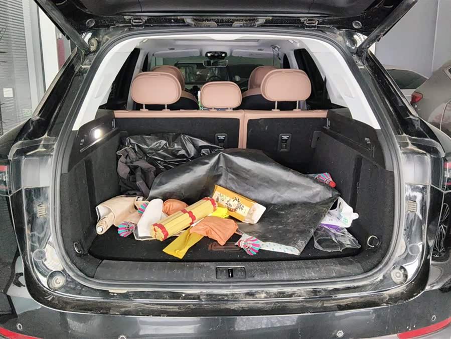 Chery Tiggo8L 2024 immagine di auto #5