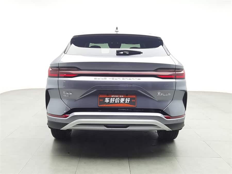 BYD Song Plus New Energy 2023 immagine di auto #5