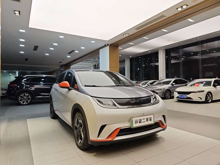 BYD Dolphin 2022 car image #5