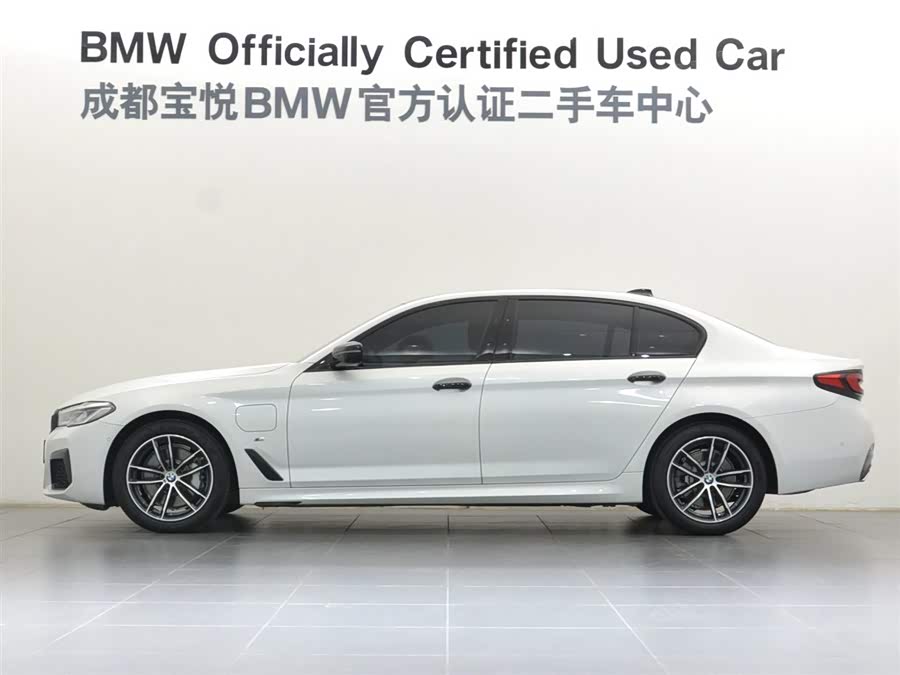 BMW 5 Series New Energy 2021 car image #5