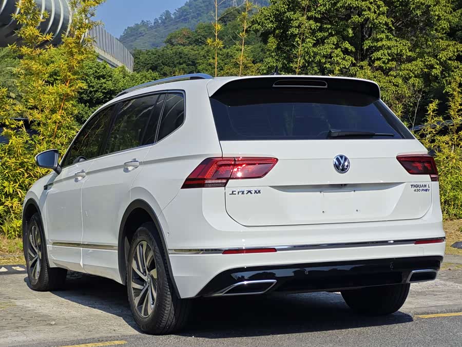 Volkswagen Tiguan L New Energy 2020 car image #5