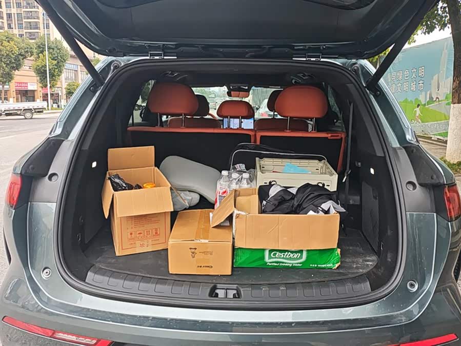 BYD Tang L 2025 car image #5