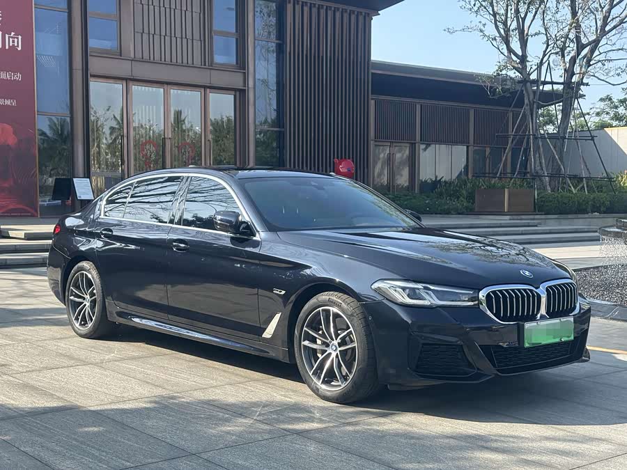 BMW 5 Series New Energy 2021 car image #5