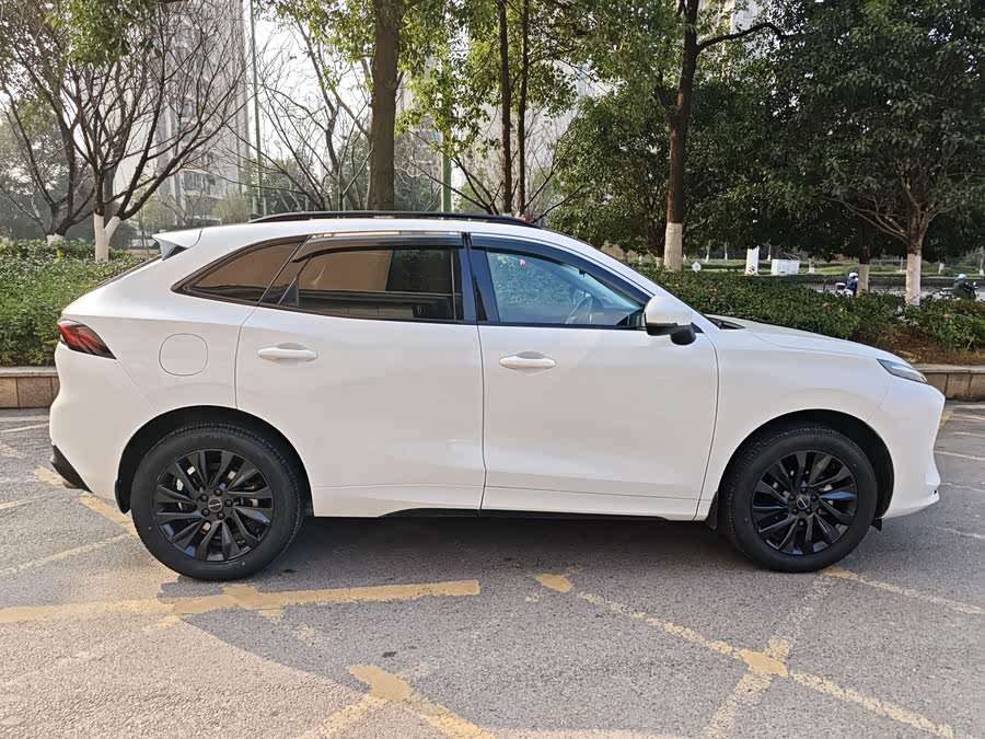 Forthing T5 EVO 2020 car image #5