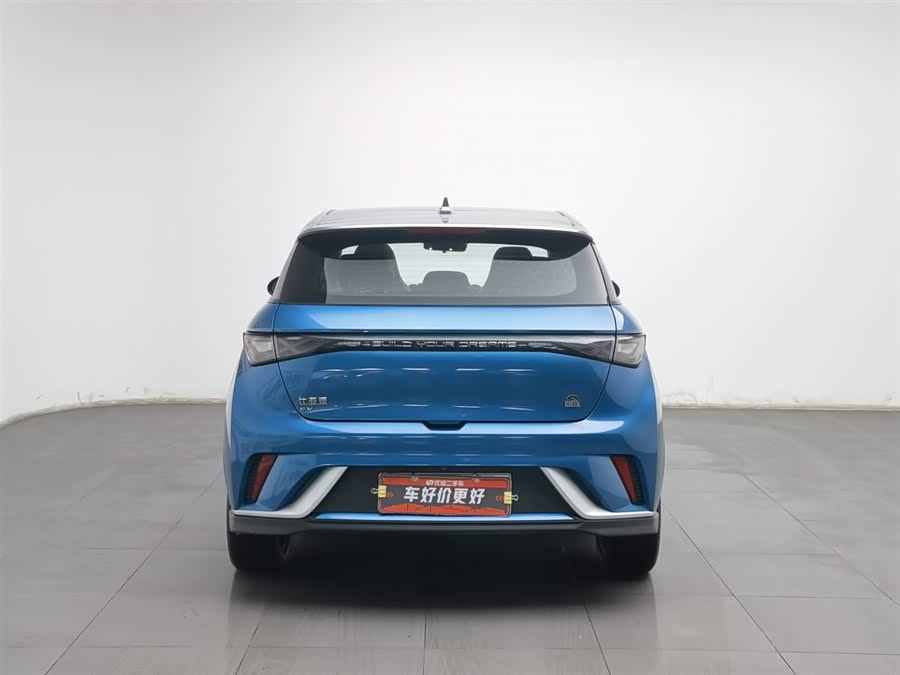 BYD Dolphin 2023 car image #5