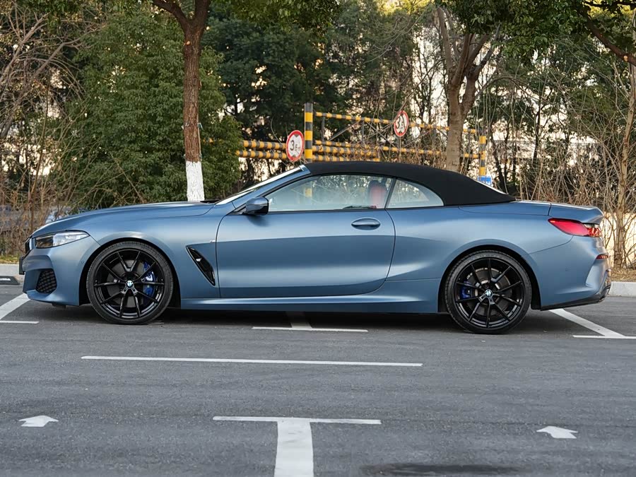 BMW 8 Series 2019 car image #5