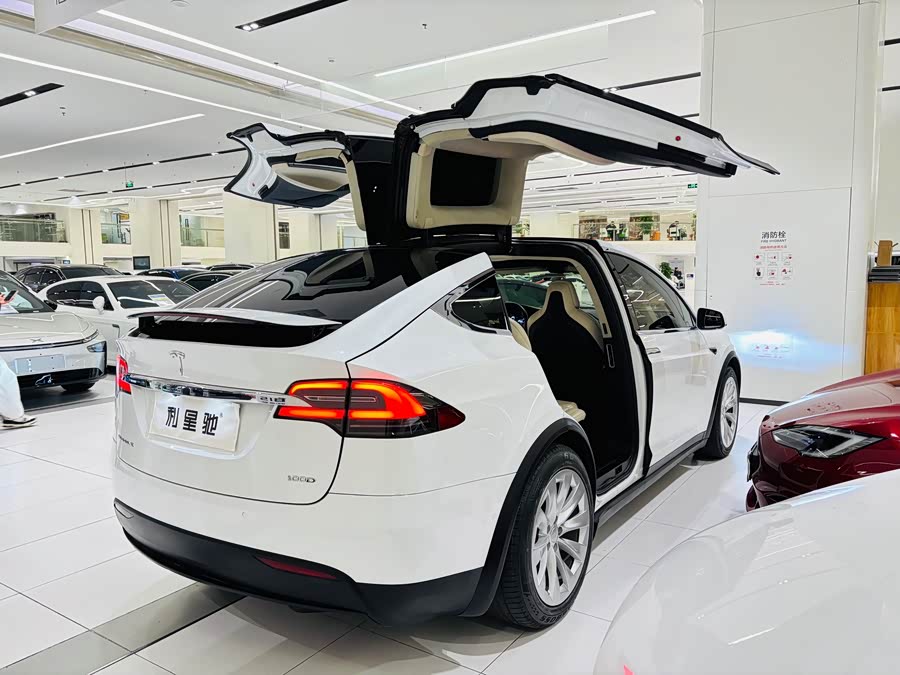 Tesla Model X 2018 car image #5