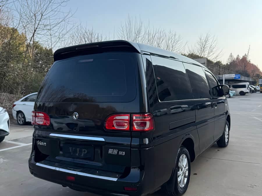 Forthing Lingzhi 2020 car image #5