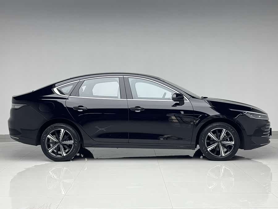 BYD Destroyer 05 2025 car image #5