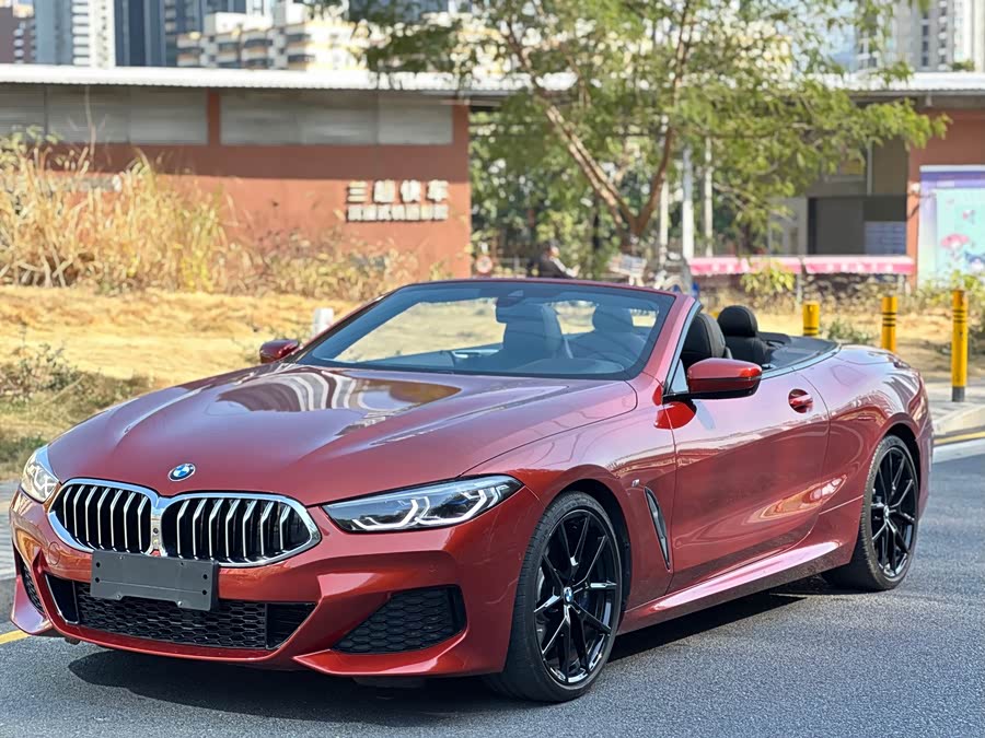 BMW 8 Series 2020 #5 BMW 8 Series 2020 car image #5