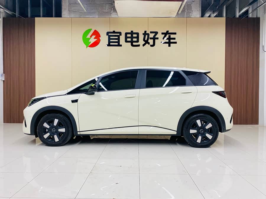 BYD Dolphin 2025 car image #5