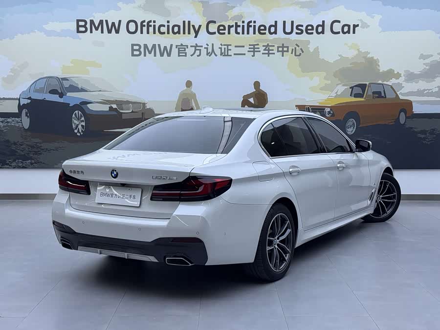 BMW 5 Series New Energy 2020 car image #5