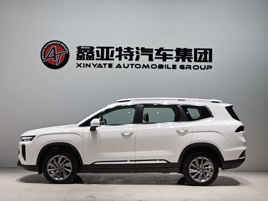 睿蓝汽车 睿蓝9 2024 汽车图片 #5