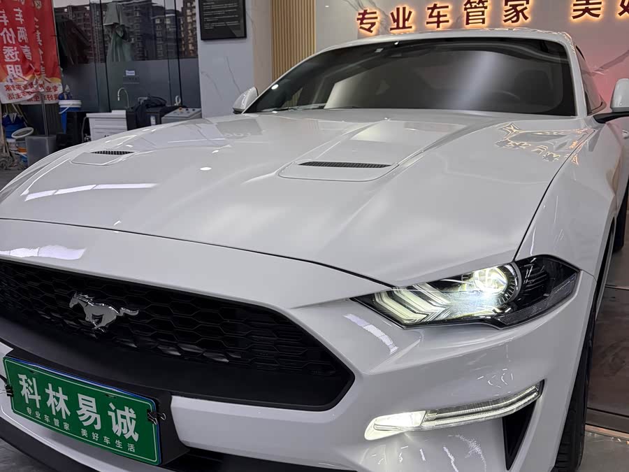Ford Mustang 2019 #5 Ford Mustang 2019 car image #5