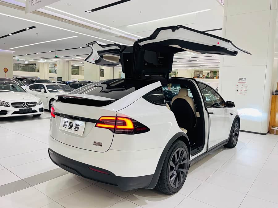 Tesla Model X 2023 car image #5