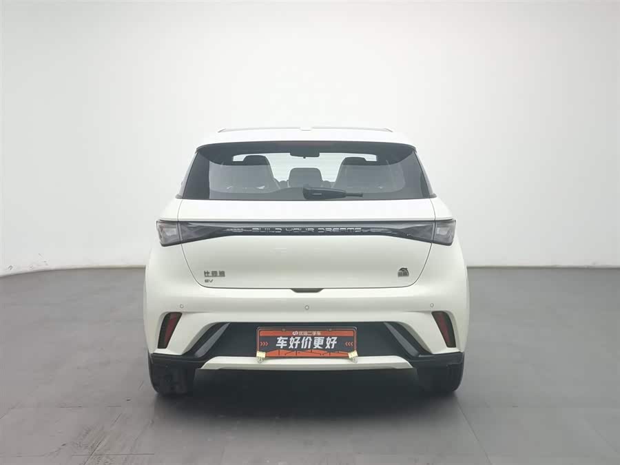 BYD Dolphin 2023 #5 BYD Dolphin 2023 car image #5