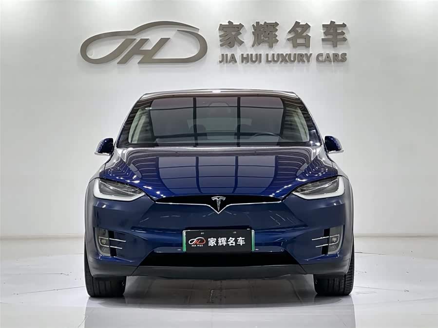 Tesla Model X 2018 car image #5