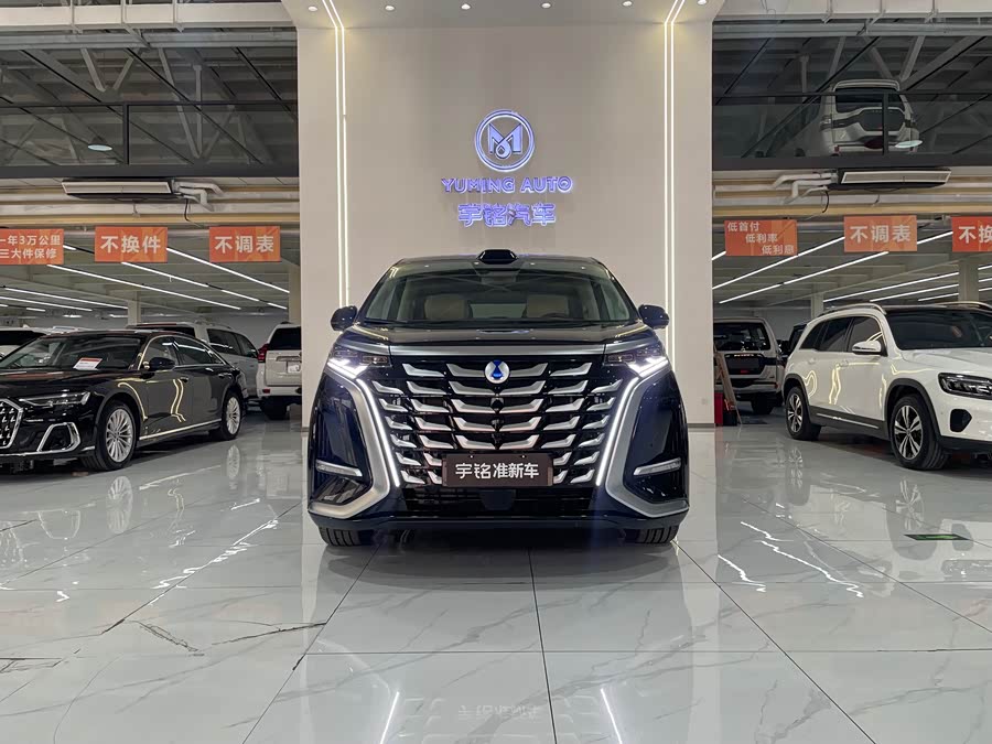 Denza D9 2025 imagen de coche #5