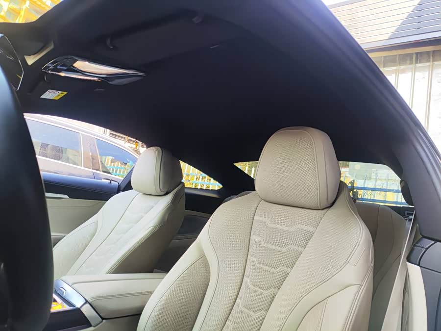 BMW 8 Series 2020 car image #5