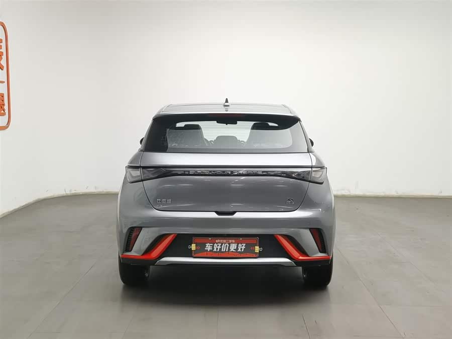 BYD Dolphin 2022 car image #5