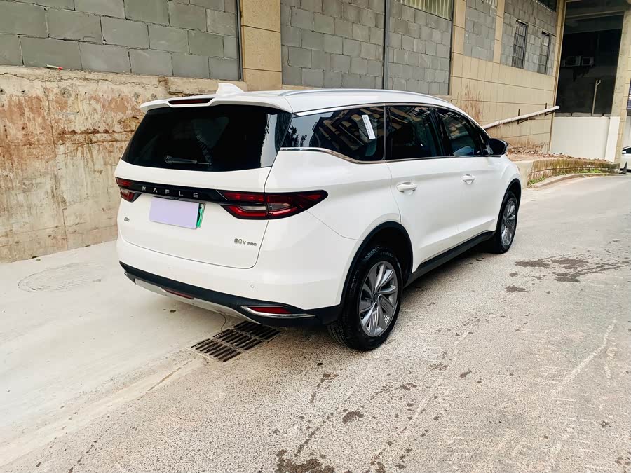 睿蓝汽车 枫叶80v PRO 2023 汽车图片 #5