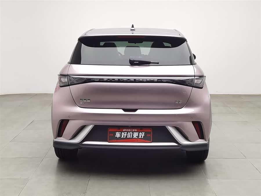 BYD Dolphin 2023 car image #5