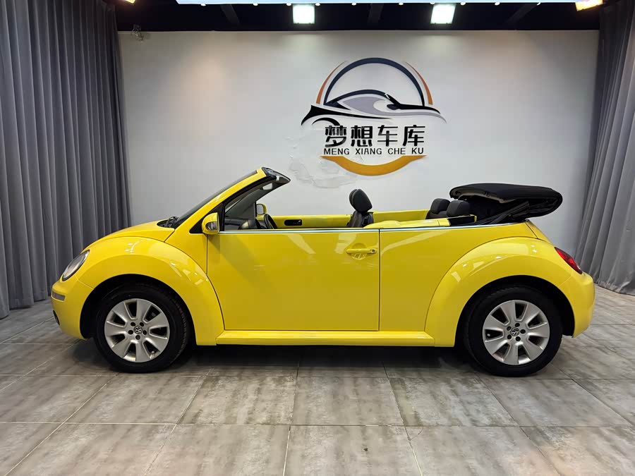 Volkswagen Beetle 2010 immagine di auto #5