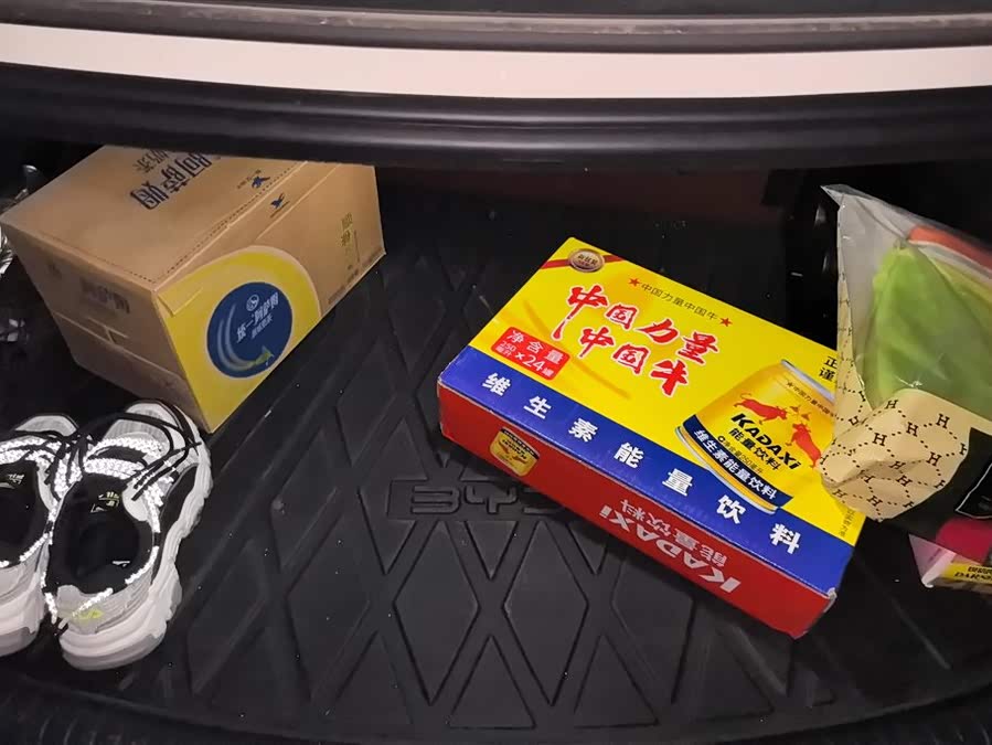 BYD Seal 07 DM-i 2024 car image #5